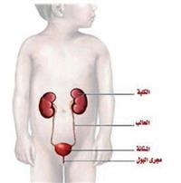 كل شيء عن التهابات المسالك البولية عند الأطفال