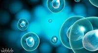  زراعة الخلايا الجذعية الذاتية 