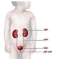 مشاكل المثانة البولية العصبية لدى الأطفال