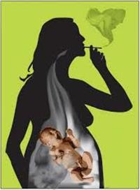 تأثير التدخين على الحامل