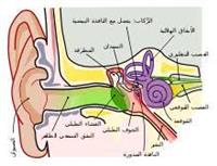  التهاب العصبون الدهليزي .