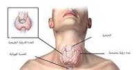 علامات مبكرة تنبه بوجود خلل في الغدة الدرقية. 