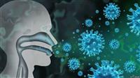 فيروس كورونا: كيف تتمكن فيروسات البرد من طرد فيروس