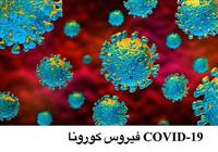 خبير دولي يحذر من علاقة أمراض اللثة بفيروس كورونا 