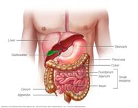 داء الأمعاء الالتهابي (IBD)