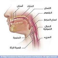  عيوب خلقية لجوف الفم .