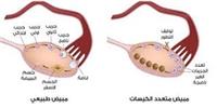 اكياس على المبايض