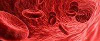 فقر الدم الوراثي: أنواع مختلفة ......