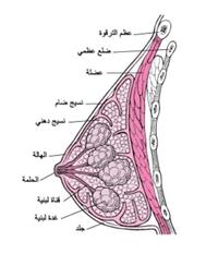 اضطرابَات الثدي