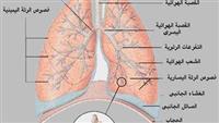 عيادة الأمراض الصدرية والنوم