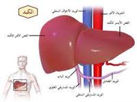 الاختبارات الدموية للكبد