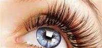 ما هي أمراض شبكية العين