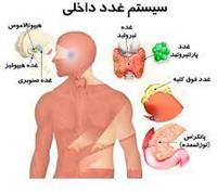 مؤتمر لأمراض الغدد الصماء بمستشفى القوات المسلحة