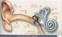 التهابات الأذن الخارجية ...... أعراضها··· وعلاجها