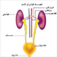 التهاب المسالك البولية عديم الاعراض