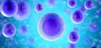  زراعة الخلايا الجذعية عند الأطفال 